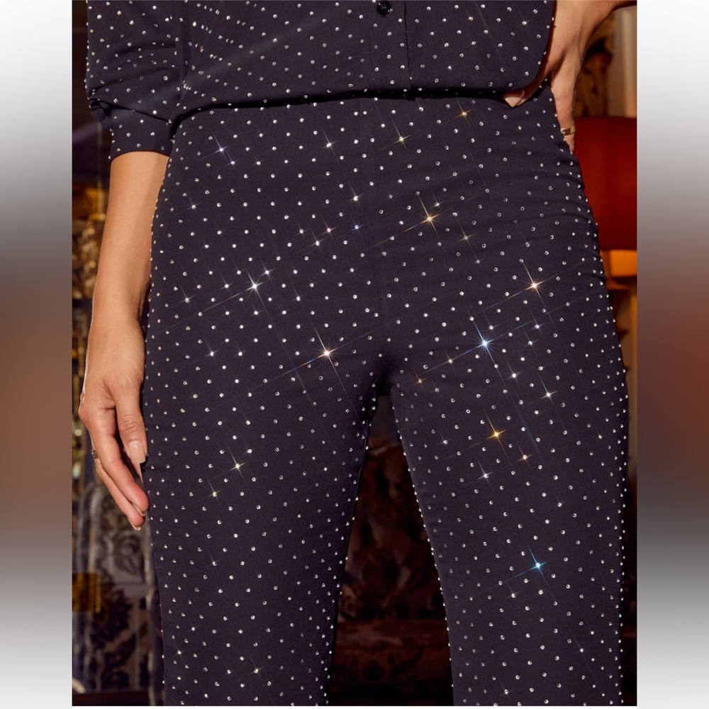 Vici Embellished Chiffon Button Down Top and Fitted Flare Pants - Picture 6 of 8